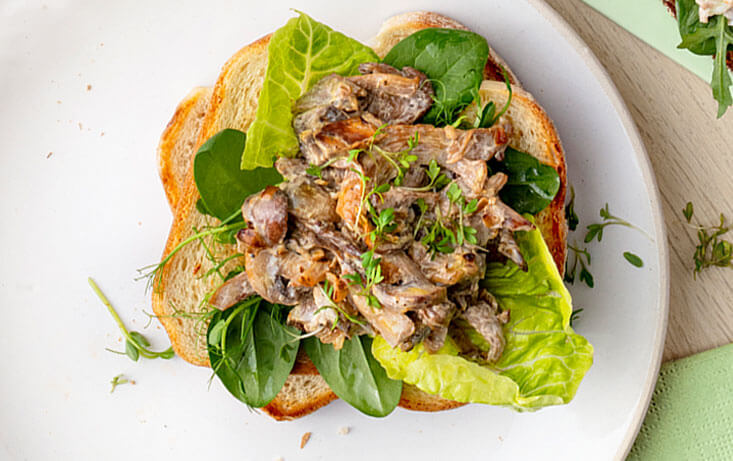 Vegomacka med svampröra och krasse | Pågen